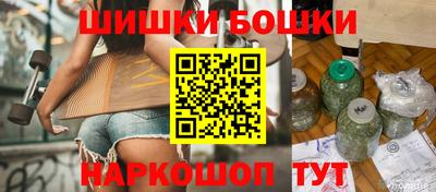индика Заводоуковск