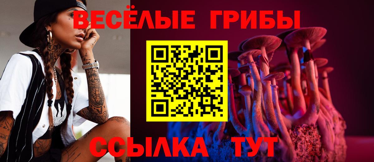 Минусинск  Галлюциногенные грибы Magic Shrooms  Вход с VPN 