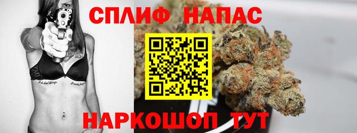 Конопля гибрид Минусинск